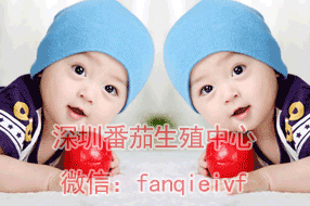 -----з޵İʹ