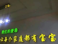 深圳番茄生殖医疗供卵试管婴儿流程